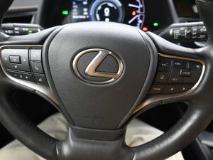 Used 2024 Lexus UX Premium AWD — thumbnail 19